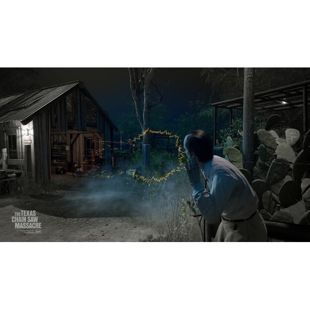 The Texas Chain Saw Massacre

  - PlayStation 4
