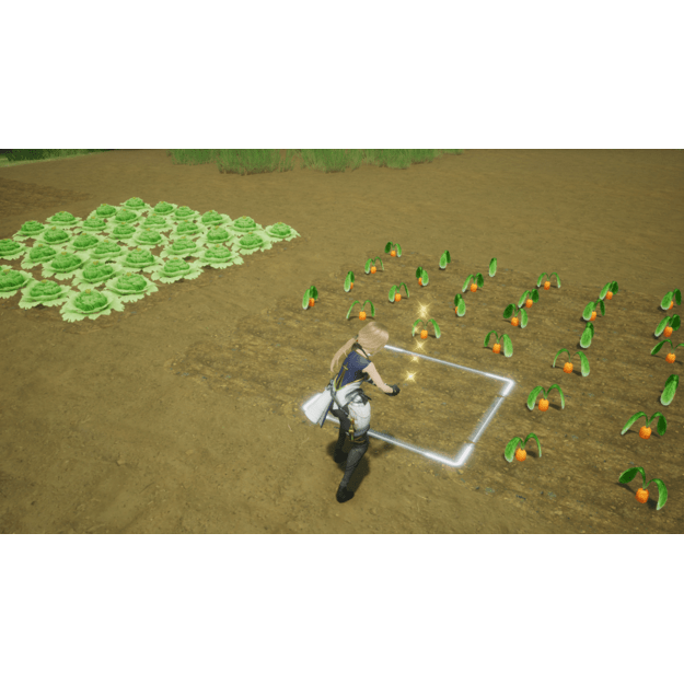 Harvestella
      
        - Nintendo Switch