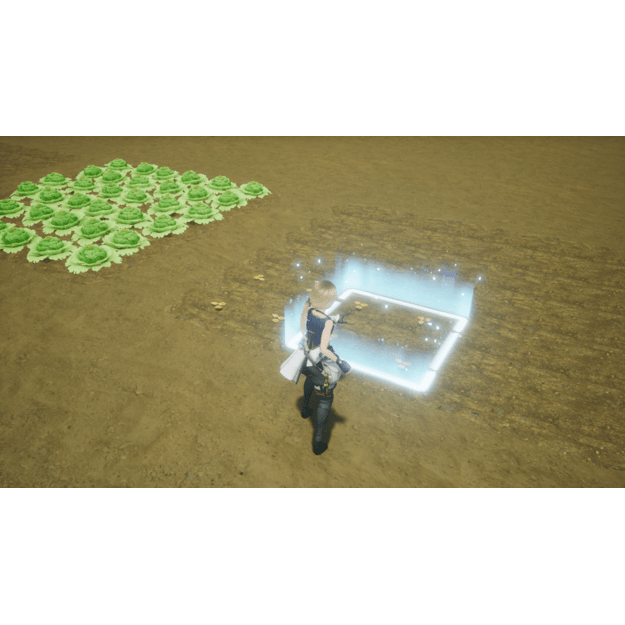 Harvestella
      
        - Nintendo Switch