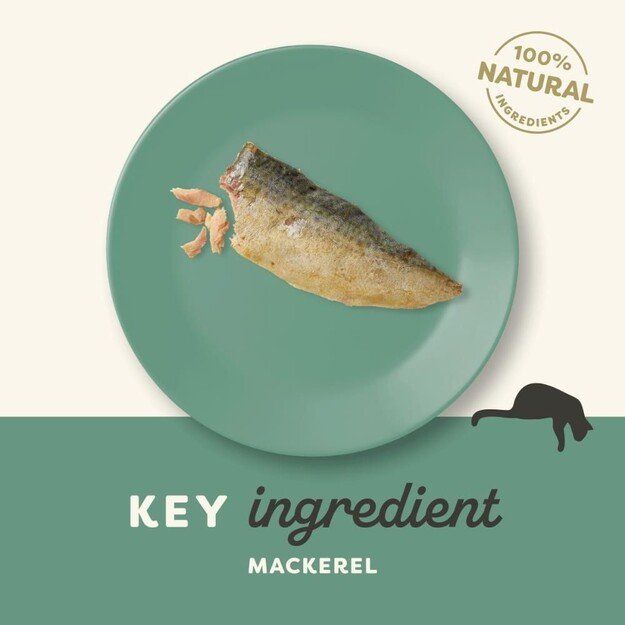 Applaws - Mackerel Loin - 30g