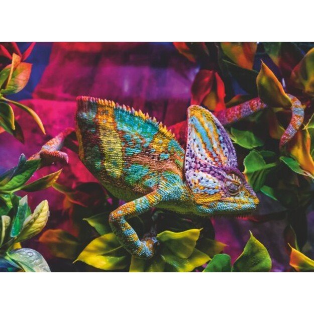Ravensburger - Chameleon - 500p (12001333)