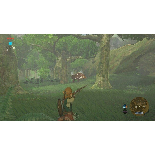 The Legend of Zelda: Breath of the Wild
      
        - Wii U