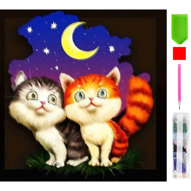 Diamond Painting Haft Diamentowy Mozaika Zestaw 5D 21