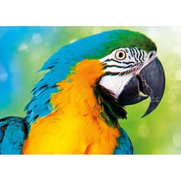 Diamond Painting Diamond Embroidery Mosaic Set 5D 144