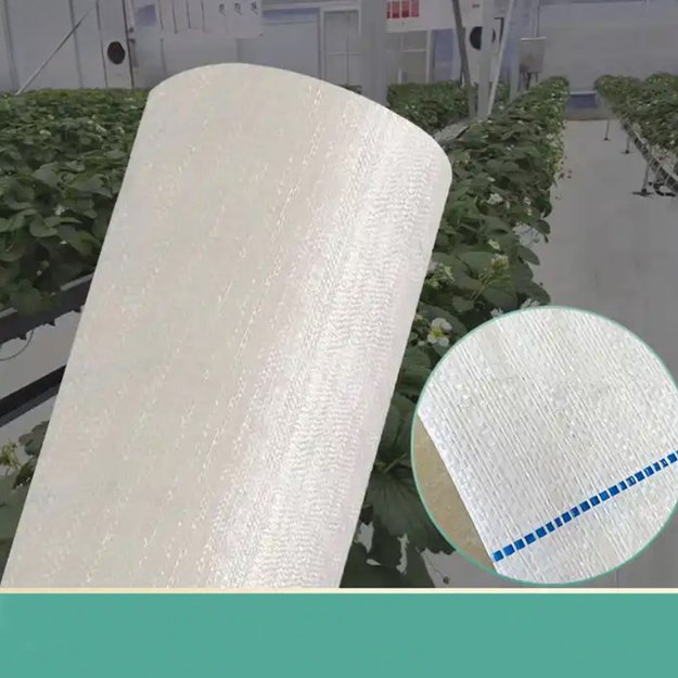 AGROWŁÓKNINA 100G 1,6x50m BIAŁA UV AGROTKANINA MATA ANTYCHWASTOWA 6