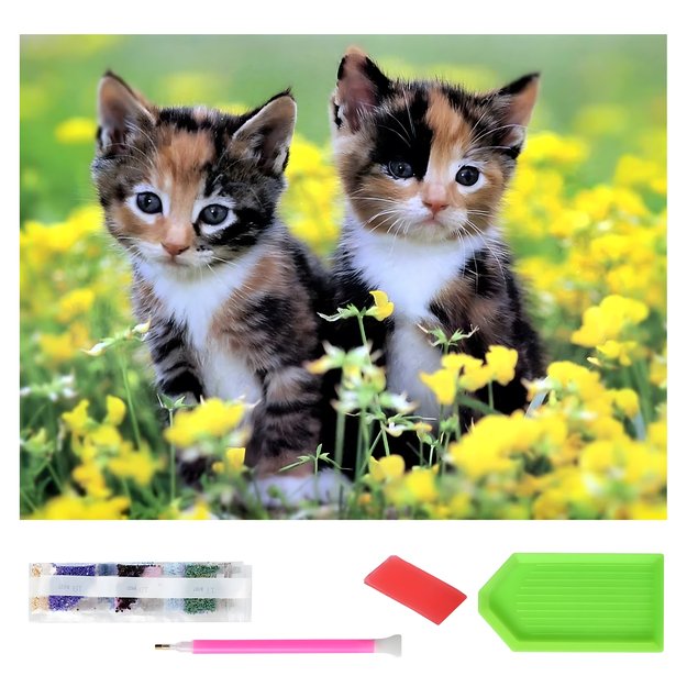 Didelis deimantinis siuvinėjimas 120x60 deimantinis paveikslas su deimantine mozaika XXL rinkinys