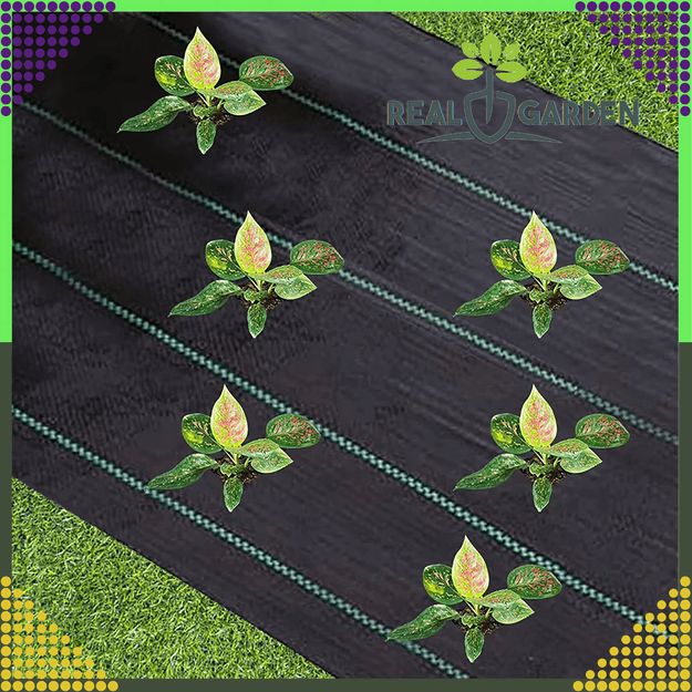 Agrowłóknina 90g 1,6m x10m Czarna UV Agrotkanina Mata Antychwastowa Ochronna 20