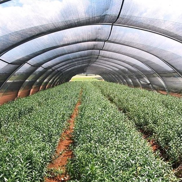 135x Siatka Cieniująca 1,5x25m Maskująca Osłona na ogrodzenie Płot 60g 21
