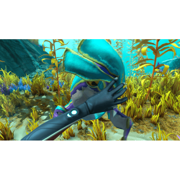 Subnautica Below Zero
      
        - PlayStation 4