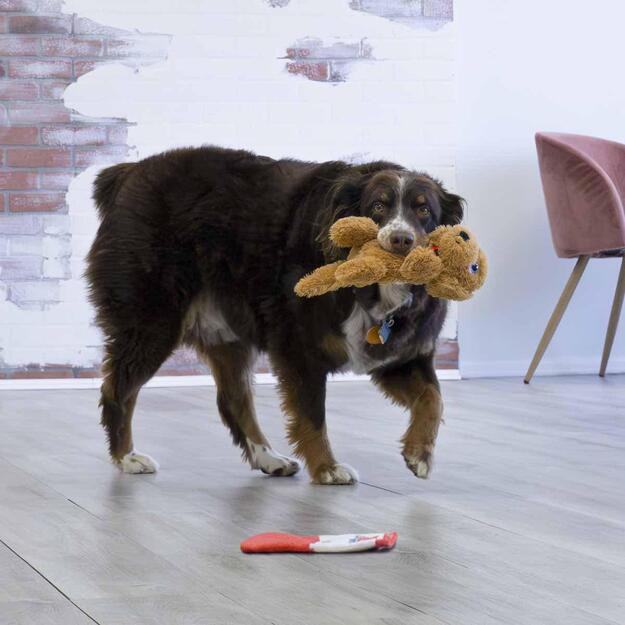 Kong - Comfort Pups Goldie M - 33x15x11,5CM 2