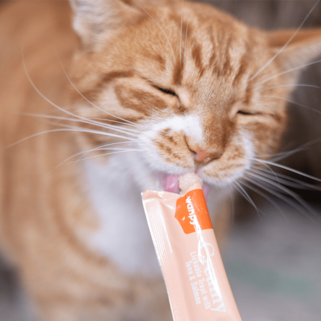 wanpy - Wanpy Cat Creamy Lickable Treat - Tuna & Salmon 70g (5x14g) - 70g (5x14g) 1