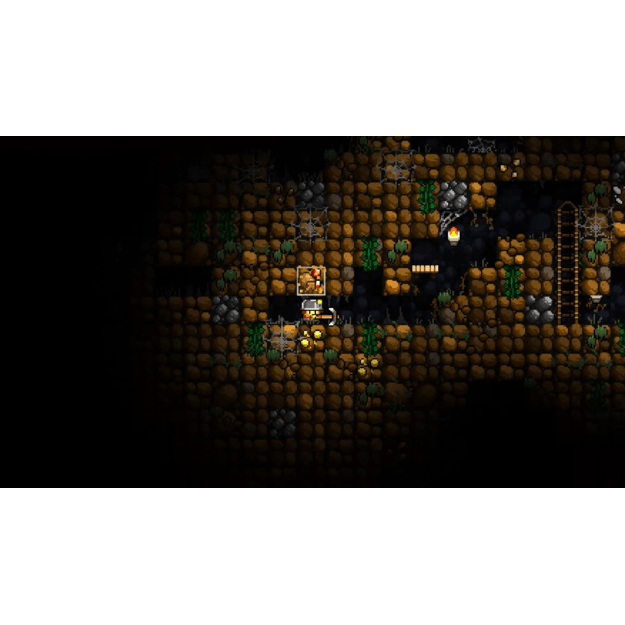 Cattle Country 10