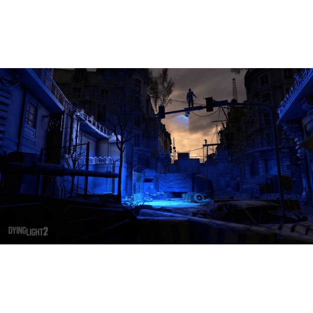 Dying Light (Platinum Edition) 10