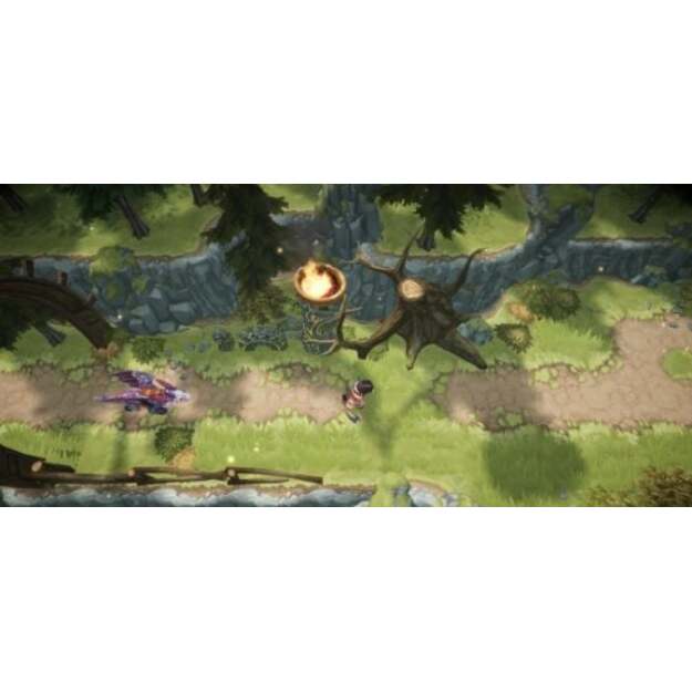 Dragons Dawn Of New Riders