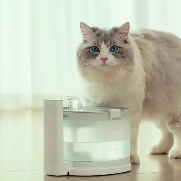 Cheerble - Elfin E1+ - 2-liter - Drinking fountain -  Cordless with sensor