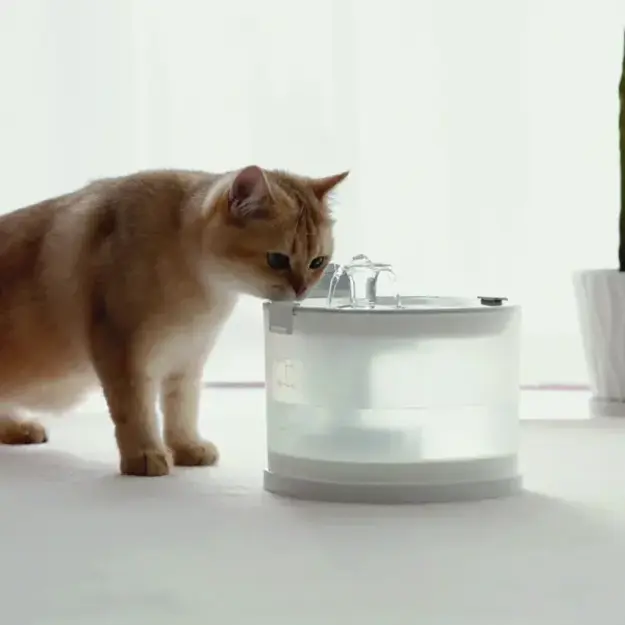 Cheerble - Elfin E1+ - 2-liter - Drinking fountain -  Cordless with sensor