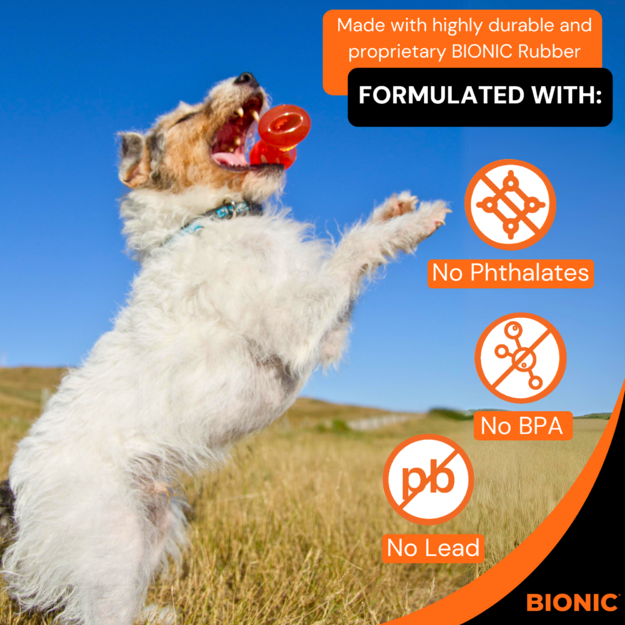 Bionic - BIONIC Bone - Small - 9.5 cm