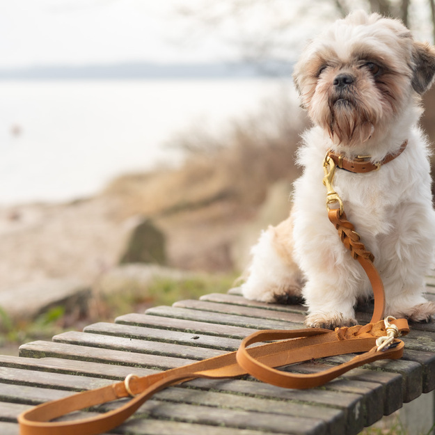 WalkFit - Tracking Leash - Cognac - 16mm x 220cm