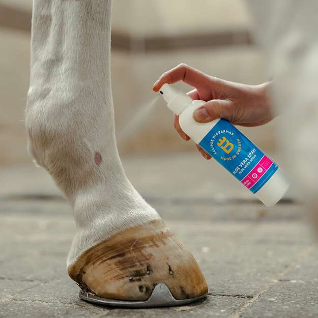 Biofarmab - Aloe Vera Spray 99% - 200ml