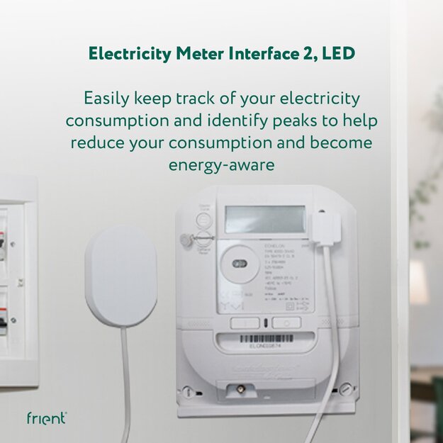Frient - Electricity Meter Interface 2