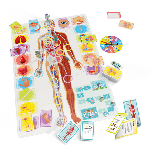 Let´s learn Our Amazing Body (60549)