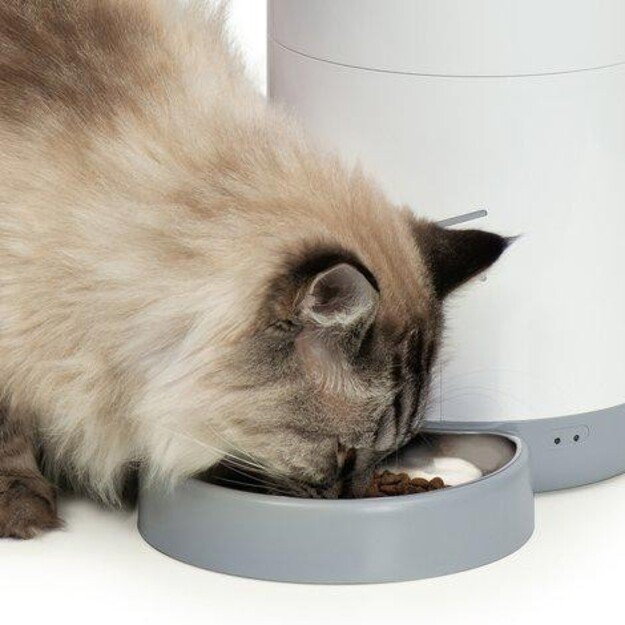 CATIT - PIXI Smart Feeder - (785.0332)