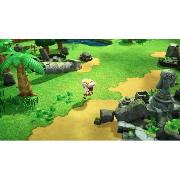 Fantasy Life i: The Girl Who Steals Time   1