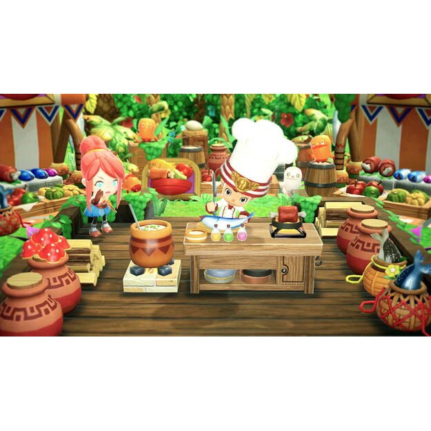 Fantasy Life i: The Girl Who Steals Time   2