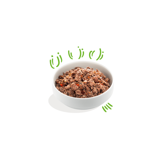 Edgard Cooper - Lamb & Beef Adult Wet food 400gr - (542503948535)
