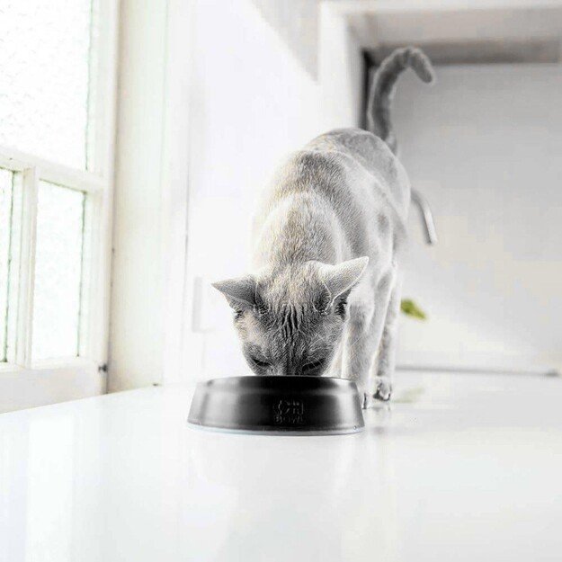 LICKIMAT - Cat Oral Hygiene Bowl Black Ø15X4,6Cm - (785.5400)