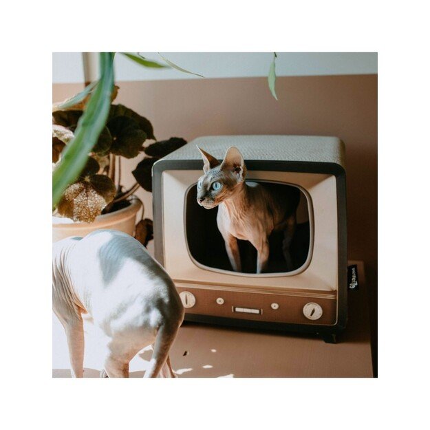 District70 - Telly Cat cave - (871720261530)
