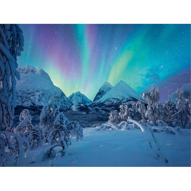 Ravensburger - Puzzle The Arctic Show 1500p (12000802) 2