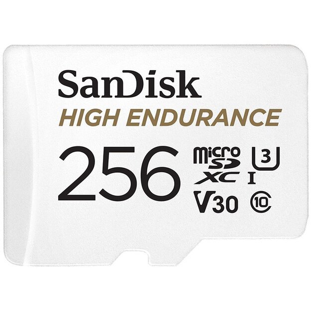 Memory Flash cards SANDISK SDSQQVR-256G-GN6IA