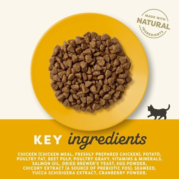 Applaws - Kitten Chicken Kibble - 2 kg