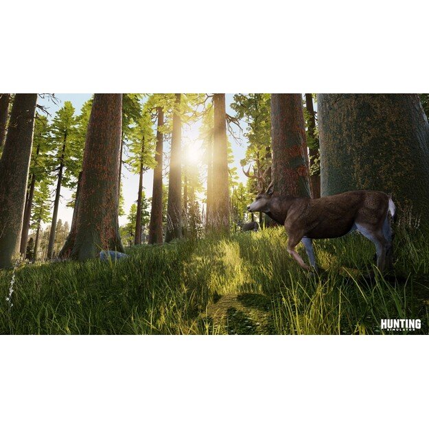 Hunting Simulator (Import)

  - PlayStation 4