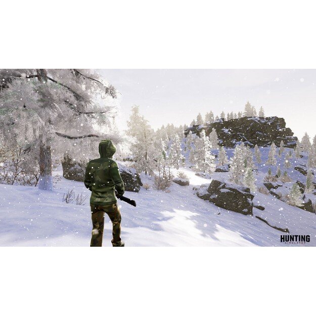 Hunting Simulator (Import)

  - PlayStation 4