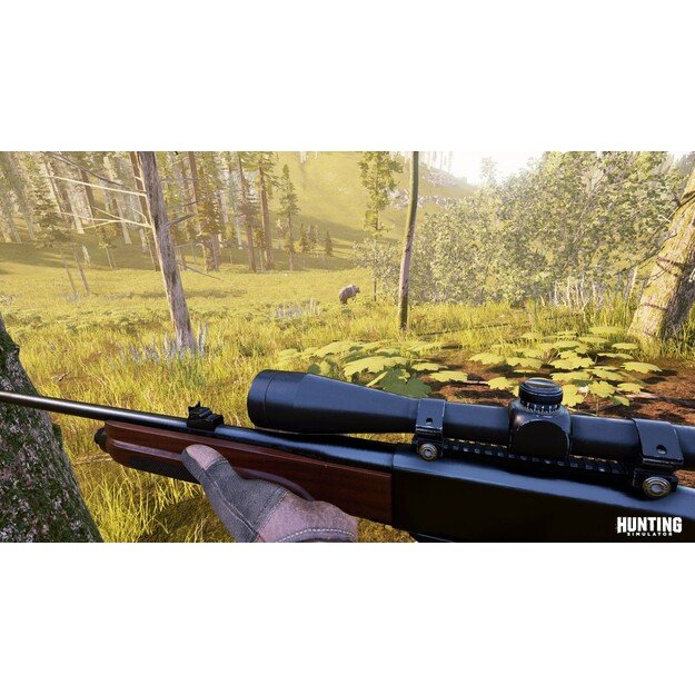 Hunting Simulator (Import)

  - PlayStation 4