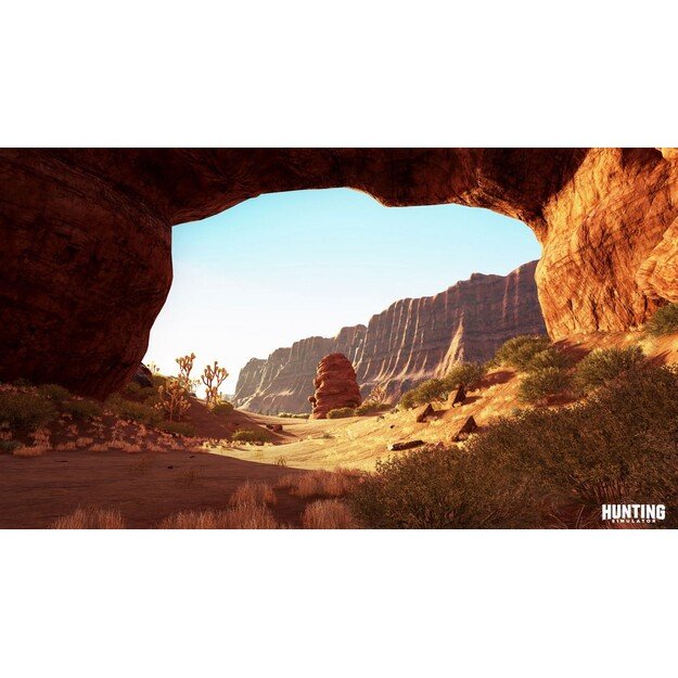 Hunting Simulator (Import)

  - PlayStation 4
