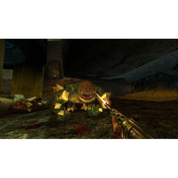 Turok 3: Shadow of Oblivion (Import)

  - PlayStation 4