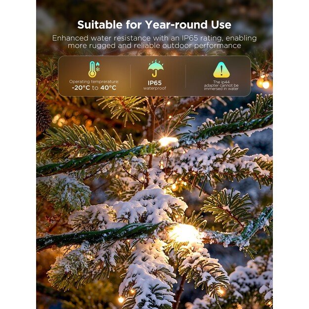Govee - Christmas Lights - 20m