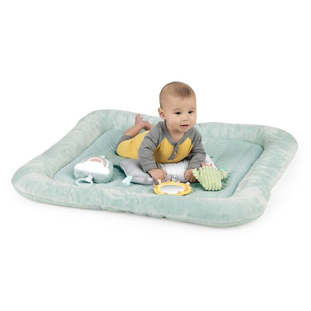 Ingenuity - Premium Plush Gym - (IN-12919)