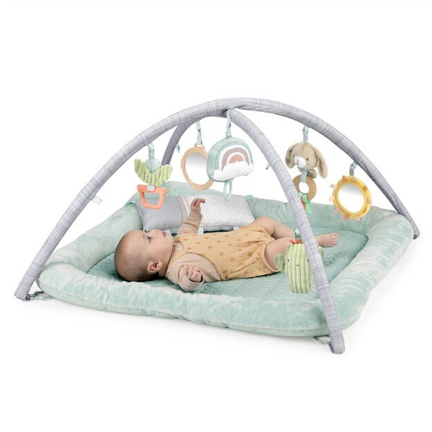 Ingenuity - Premium Plush Gym - (IN-12919)