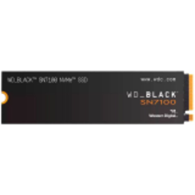SSD Client WESTERN DIGITAL WDS100T4X0E-00CJA0