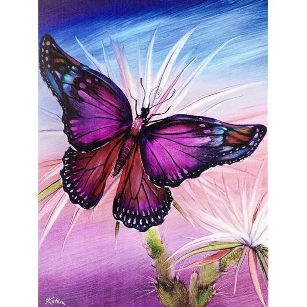 Diamond Painting Diamond Embroidery Mosaic 5D Set 5