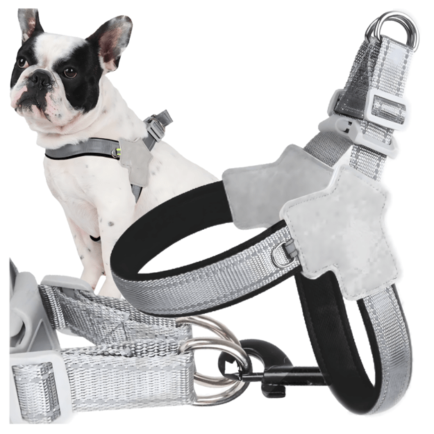 Tvirtas, nespaudžiantis pavadėlis mažiems šunims ir katėms, M dydis