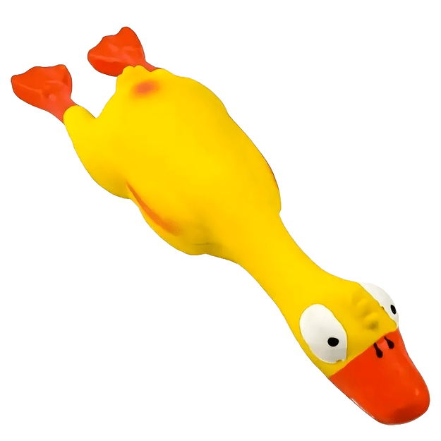 Piszcząca Duża Zabawka Gumowy Kurczak Duży dla Psa Szczeniaka Gryzak 22 cm 17