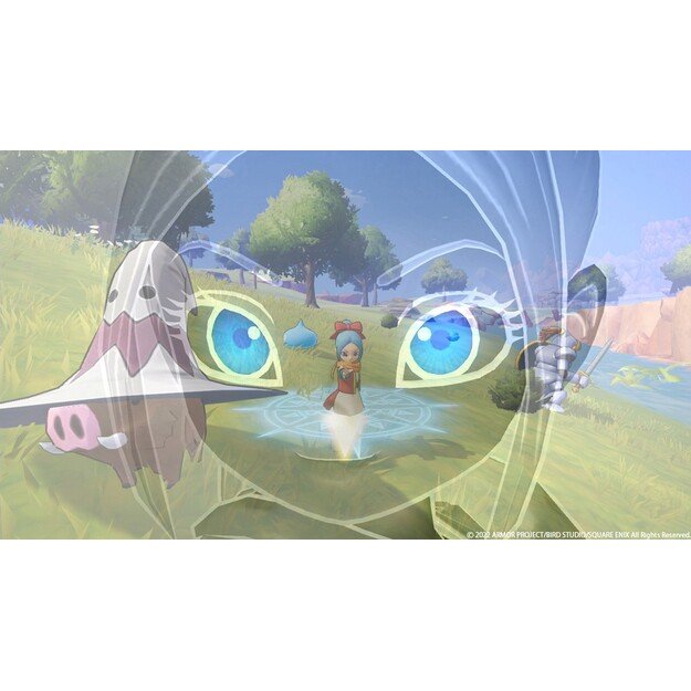 Dragon Quest Treasures
      
        - Nintendo Switch