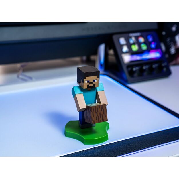 HOLDEM - MINECRAFT STEVE 5