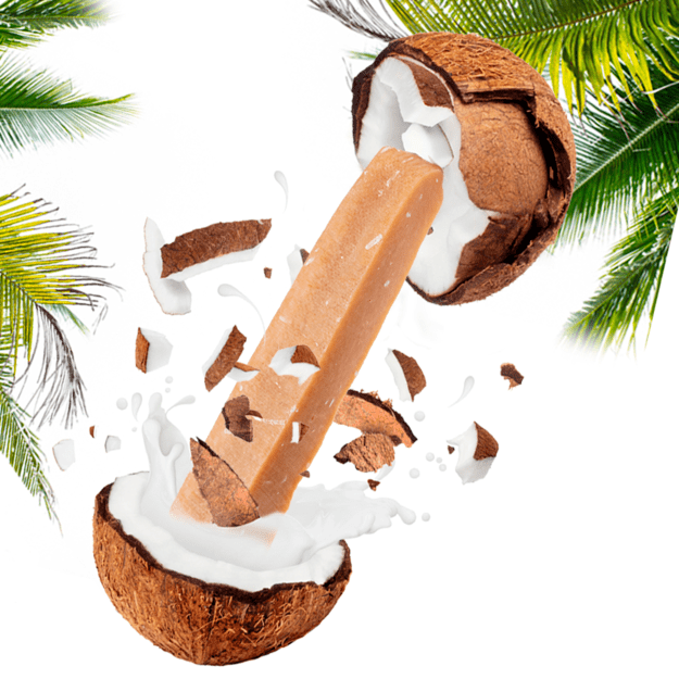 yaki - Cheese dog snack with Coconut - 100-110g L 2