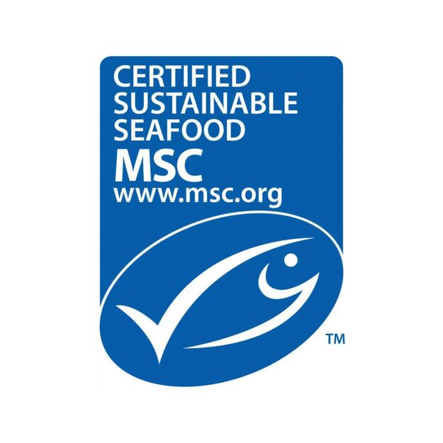 Dokas - Salmon Strips - 100gr 2